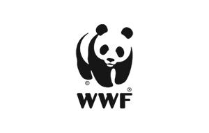 Logotipo de WWF sobre un fondo transparente en los colores de su marca