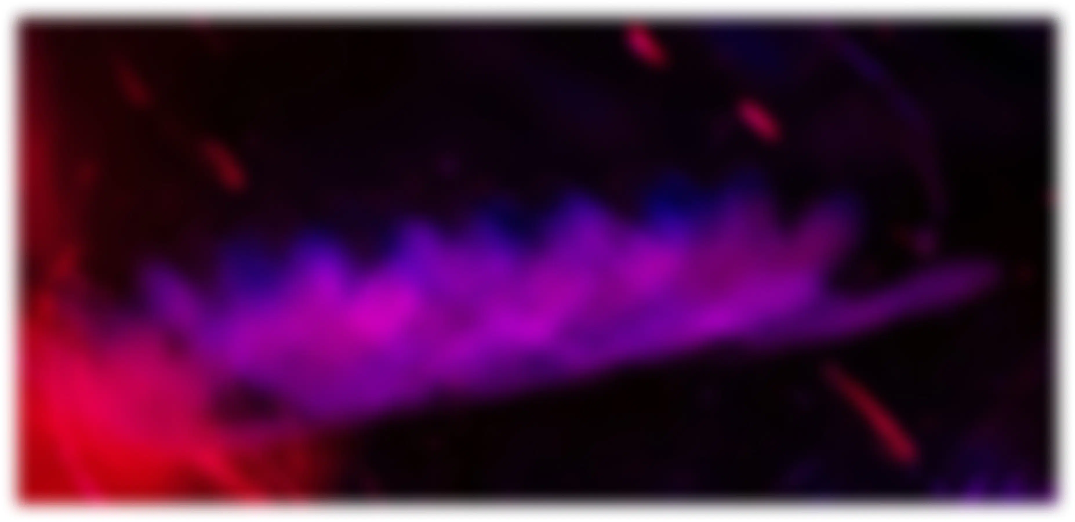 Blurry Background Image