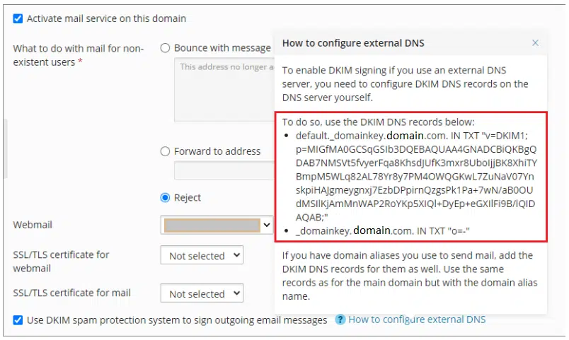 Plesk Dkim Screenshot 2