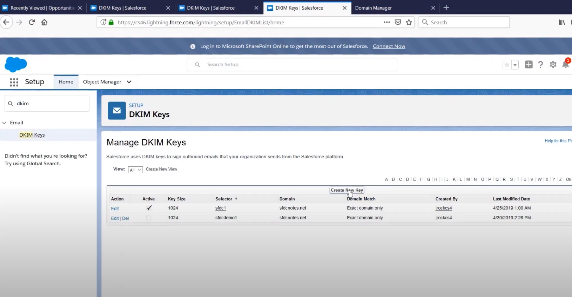 Salesforce Dkim Screenshot 1