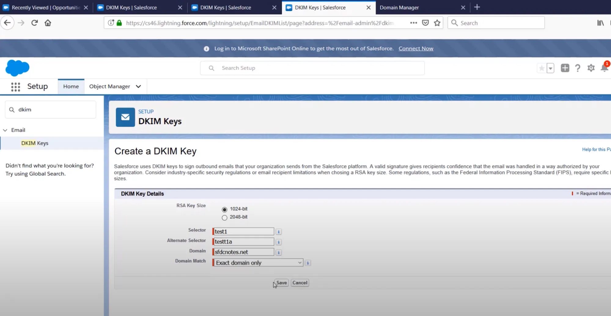 Salesforce Dkim Screenshot 2