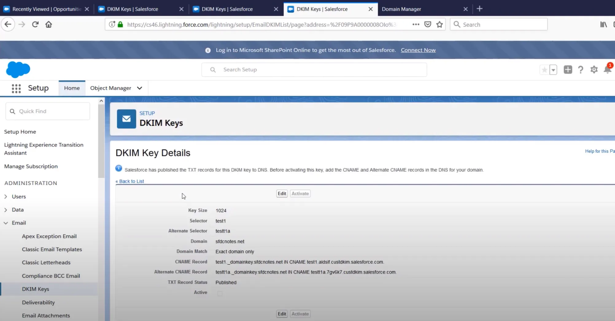 Salesforce Dkim Screenshot 3