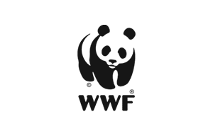 Wwf Logo On A Transparent Background In It'S Brand Colours