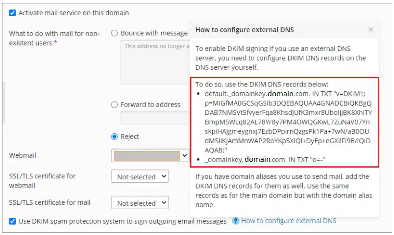 Plesk Dkim Screenshot 2