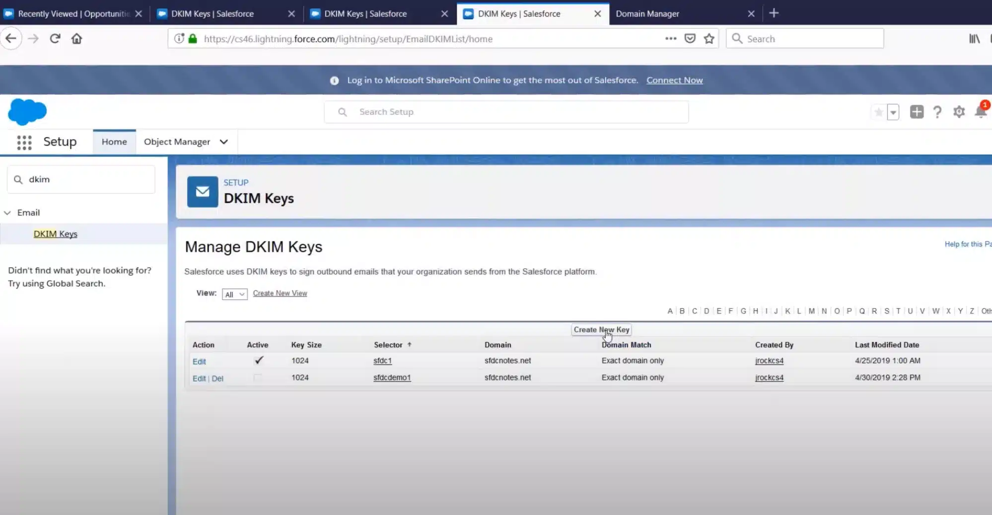 Salesforce Dkim Screenshot 1