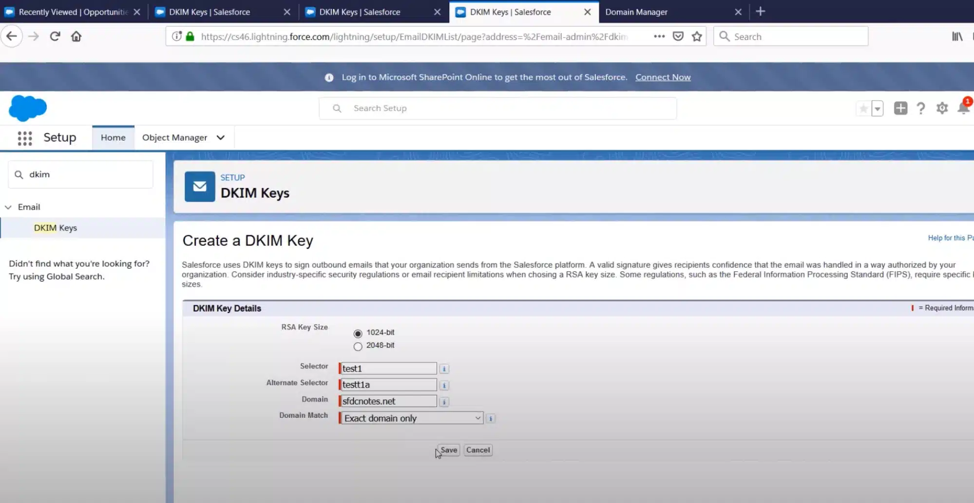 Salesforce Dkim Screenshot 2