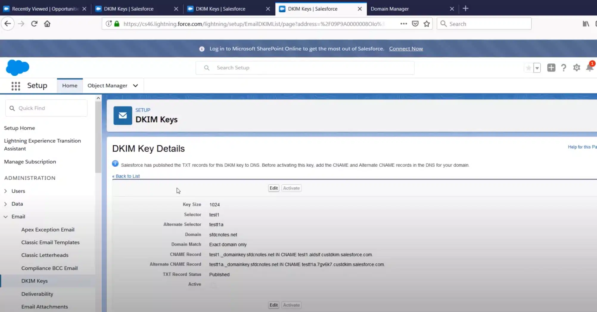 Salesforce Dkim Screenshot 3